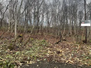 301 Land #2
