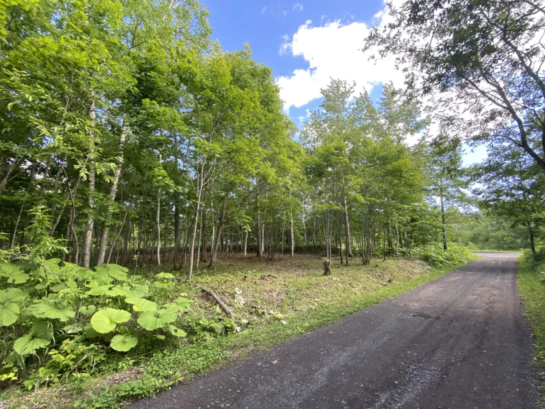 Kondo_Niseko_Land_1